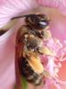 268448 – Photo : Catherine Reymonet-Smitten – France (19)